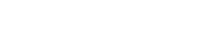 Alternate Text